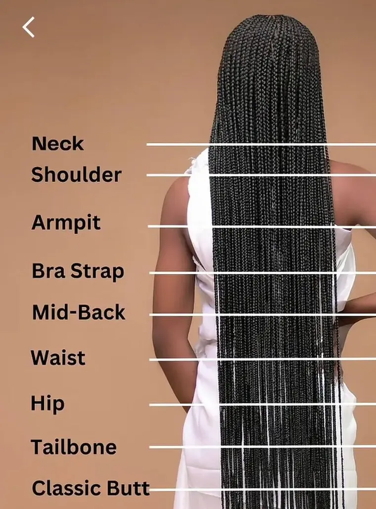 Diagram showing braid lengths from neck down to classic butt length
